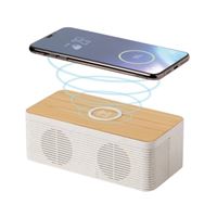 SPEAKER 5W CON RICARICA VELOCE 10W